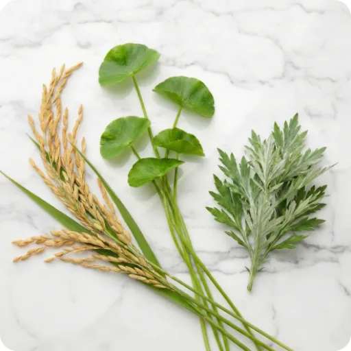 LAKORE ingredient plants in South Korea